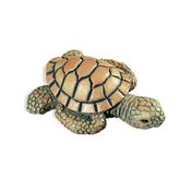 Immagine di pomoli s-h022 mm. 40 plastica multicolor 54 a:40 h:30                                                                                           