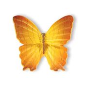 Immagine di pomoli s-h041 mm. 46 plastica multicolor 44 a:46 h:25                                                                                           