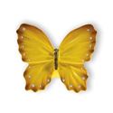 Immagine di pomoli s-h049 mm. 48 plastica multicolor 41 a:48 h:29                                                                                           