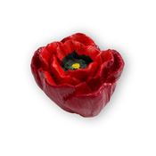 Immagine di pomoli s-h123 mm. 47 plastica rosso 50 a:47 h:35                                                                                           