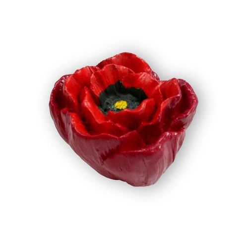Immagine di pomoli s-h123 mm. 47 plastica rosso 50 a:47 h:35                                                                                           