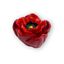 Immagine di pomoli s-h123 mm. 47 plastica rosso 50 a:47 h:35                                                                                           