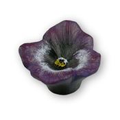 Immagine di pomoli s-h126 mm. 49 plastica viola 49 a:49 h:34                                                                                           