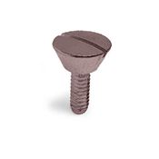 Immagine di Viti Emme con taglio