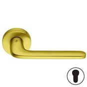 Immagine di maniglie roboquattro ros.yale oro lucido cromall                                                                                           