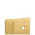 Immagine di cerniere mill libro piane ot 120x75 sx oro l. ottone c/cuscinetto push dx                                                                                           