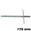 Immagine di reggimensole 222 fe invisibili mm 14 x 170 zinc c/perno fisso 12 x 60                                                                                           