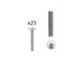 Immagine di Kit 25 viti TBL filetto 4ma lunghezza mm 30 zincate 