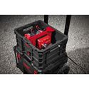 Immagine di Milwaukee Cassetta Packout separatore per container 