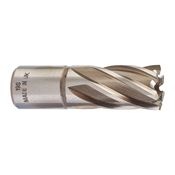 Immagine di Milwaukee Fresa per metallo HSS 19 x 30 mm 