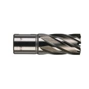 Immagine di Milwaukee Fresa per metallo HSS 20 x 30 mm 