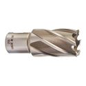 Immagine di Milwaukee Fresa per metallo HSS 25 x 30 mm 