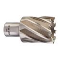 Immagine di Milwaukee Fresa per metallo HSS 34 x 30 mm 