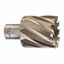 Immagine di Milwaukee Fresa per metallo HSS 39 x 30 mm 