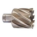 Immagine di Milwaukee Fresa per metallo HSS 42 x 30 mm 