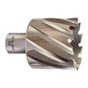 Immagine di Milwaukee Fresa per metallo HSS 45 x 30 mm 