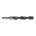 Immagine di Milwaukee Punta elicoidale per legno 18 x 160 mm 