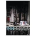 Immagine di Milwaukee Punta pilota diametro 6 mm lunghezza 150 mm per seghe a tazza HCS 