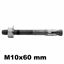 Immagine di M2 M10x60 mm spessore serraggio 5 mm 