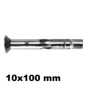 Immagine di MHA-SK 10x100 mm vite M8 