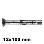 Immagine di MHA-SK 12x100 mm vite M10 