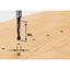 Immagine di Festool Punta per tasselli HW S8 D6/30 Z 