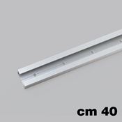 Immagine di guide lgb30 rotaie cm  40 argento                                                                                            