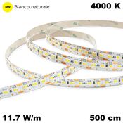 Immagine di strip led mm.10 24v 4000k mek 11.7w/m cm. 500 108 led/m                                                                                           
