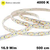 Immagine di strip led mm.10 24v 4000k mek 16.9w/m cm. 500 156 led/m                                                                                           