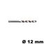 Immagine di Punta di foratura per legno Rasto diametro 12 mm 