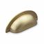 Immagine di maniglie conti mm  64 oro sat.                                                                                            