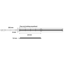 Immagine di Strip led COB 8 mm