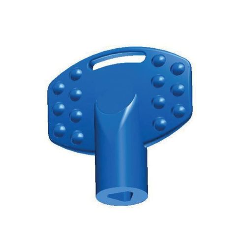 Immagine di Chiavi per serrature box con inserto poligonale